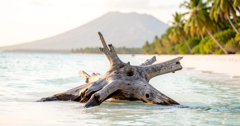 Seychelles vs Bora Bora : mon verdict cash en 2026